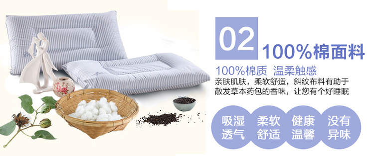 迎时（YINGSHI）荞麦壳健康枕 枕头枕芯 面料100%棉 全荞麦壳填充  单人定型枕头 40×68cm 蓝色