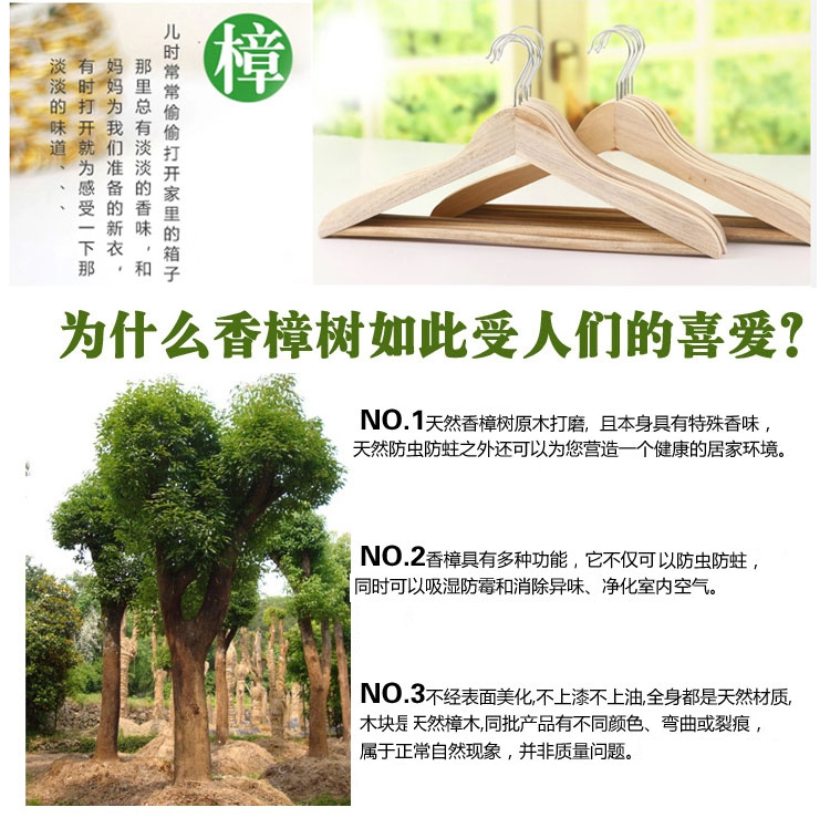 丽姿 天然香樟木衣架 樟脑丸驱虫防蛀除味臭除防潮橱柜挂衣架 原木色