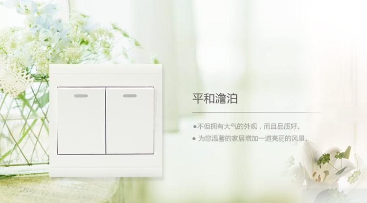 
                                        施耐德电气（Schneider Electric）开关插座 开关面板 双开单控开关 带荧光指示 A5莹润系列 白色                