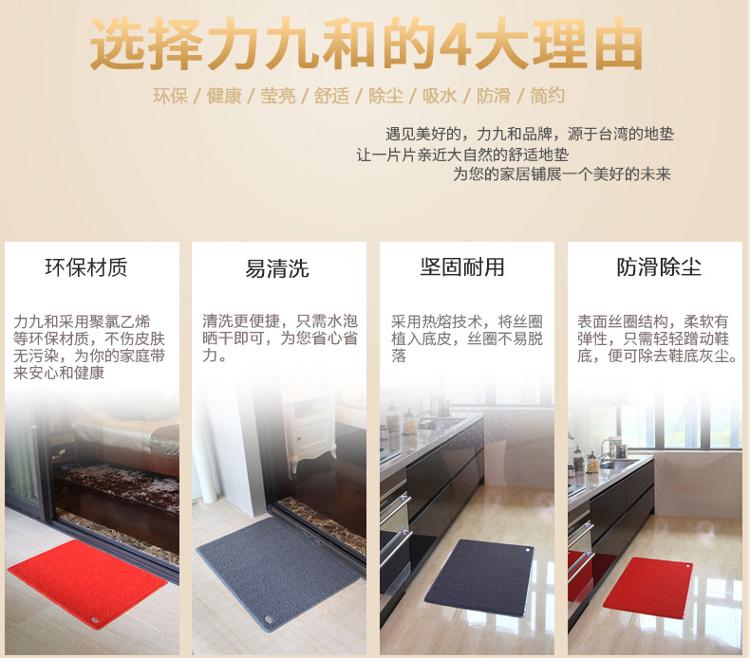 力九和 素面丝圈地垫除尘垫玄关垫 60x90cm红色