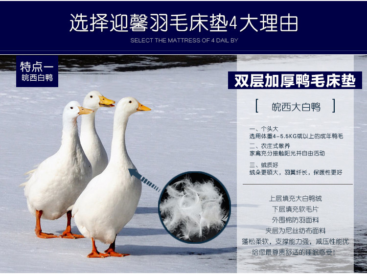 迎馨 床品家纺 全棉加大双人羽绒加厚保暖床垫 五星级酒店柔软床褥子 180*200cm
