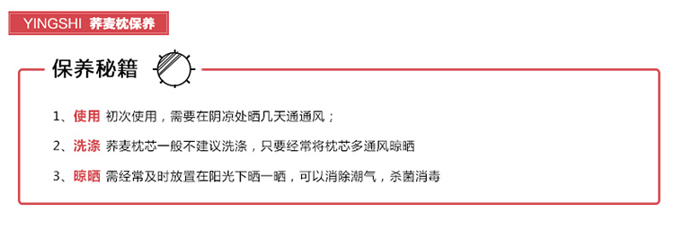 迎时（YINGSHI）荞麦壳健康枕 枕头枕芯 面料100%棉 全荞麦壳填充  单人定型枕头 40×68cm 蓝色