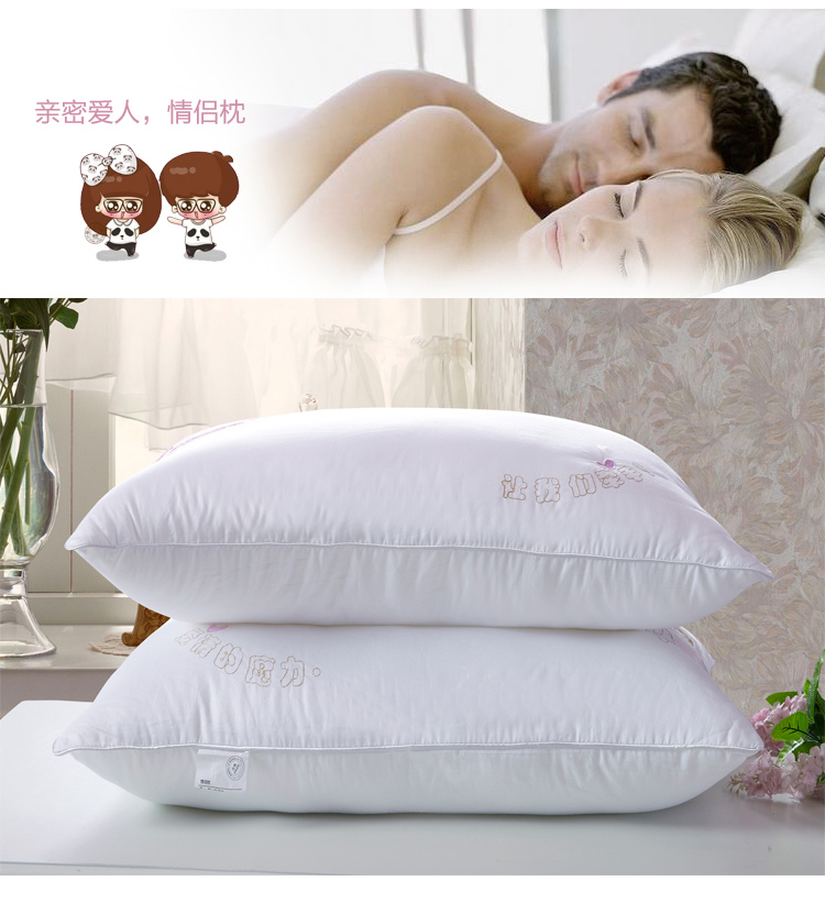 
                                        胜伟 枕芯家纺 全棉羽丝绒枕 双人情侣枕头 一对装 48*74cm                