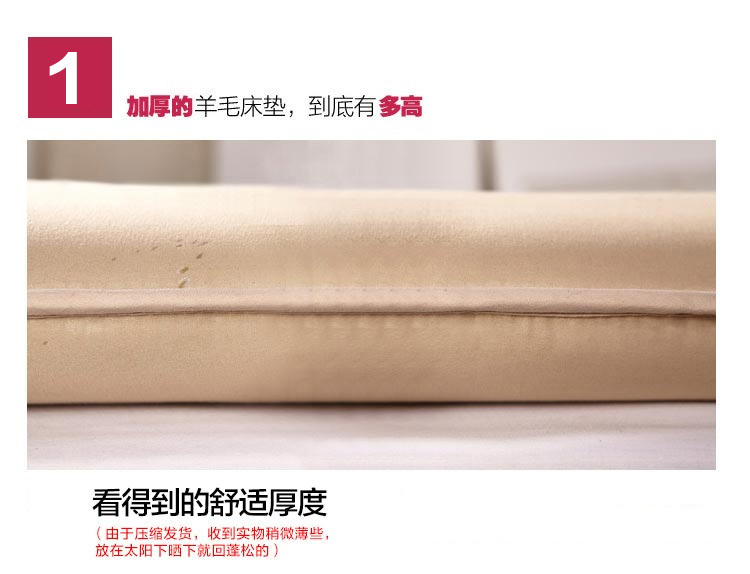 九洲鹿 防滑羊毛床垫 加厚床褥 床护垫 四季垫 双人榻榻米褥子垫被 1.5米床
