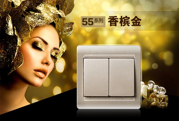 西蒙 (SIMON)  开关插座面板香槟金色二开双控开关55系列N51022B-56