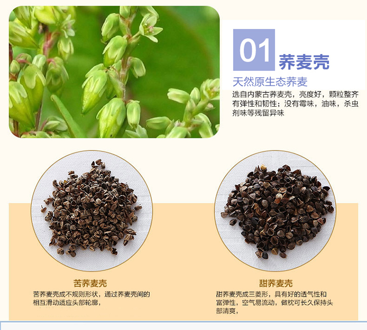 迎时（YINGSHI）荞麦壳健康枕 枕头枕芯 面料100%棉 全荞麦壳填充  单人定型枕头 40×68cm 蓝色