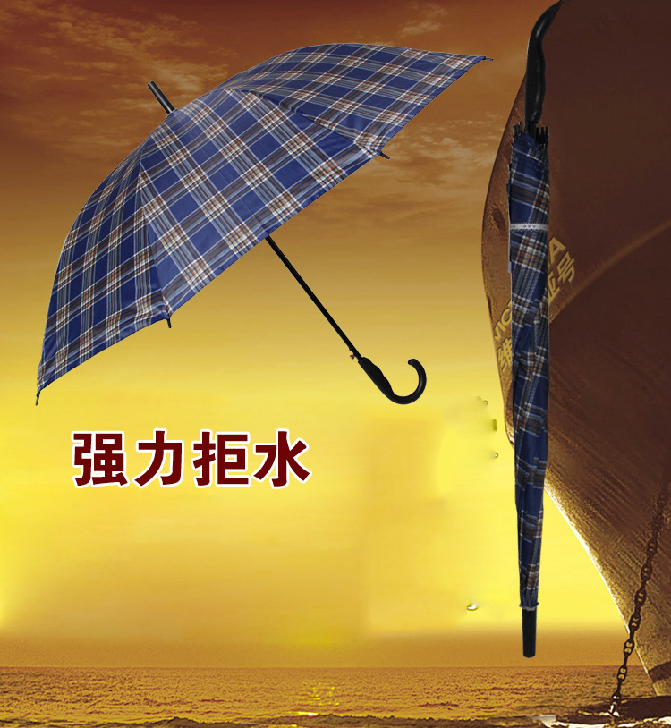 
                                        天堂伞 加大加固格子自开直杆商务晴雨伞 蓝格 170E                