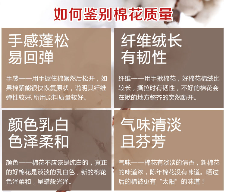 
                                        
                                        华康 棉花床垫褥子 新疆棉花床垫床褥 纯棉宿舍单人棉花床褥子1米床 100×200cm 3斤                