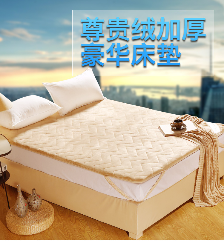 
                                        
                                        艾维 床品家纺 床褥子 加厚尊贵绒豪华床垫子垫被榻榻米 双人加大 180*200cm                