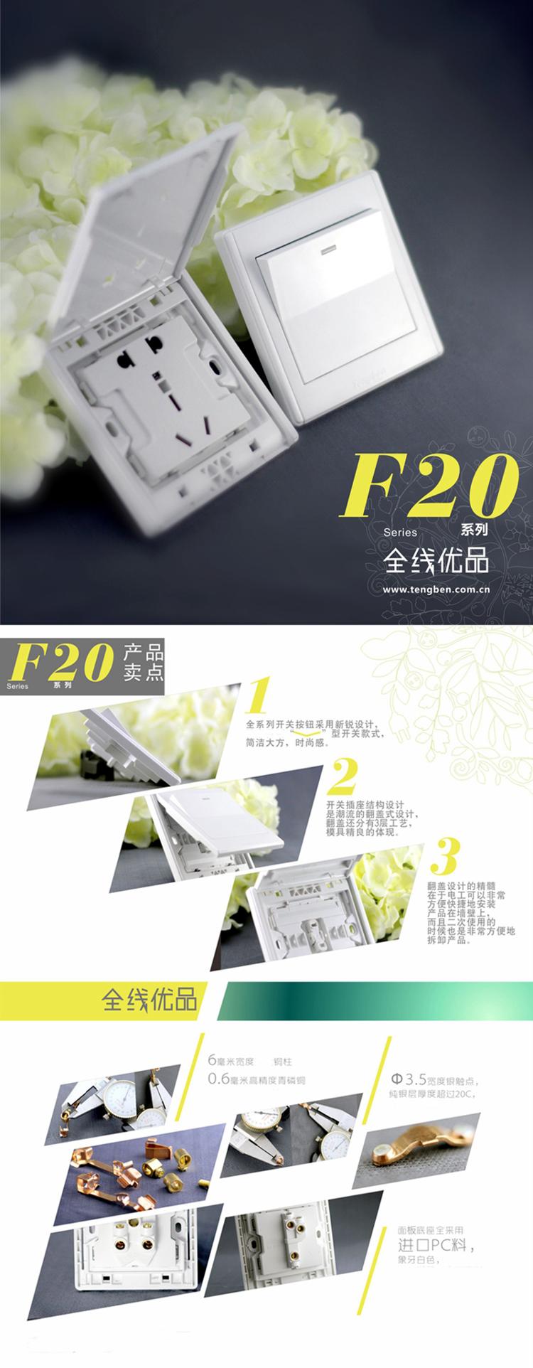 
                                        藤本86型墙壁开关面板插座10A带荧光一位大板单联开关/一开单控开关F20翘板翻盖系列                