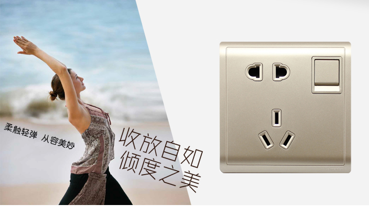 
                                                                                施耐德电气 开关插座 10A五孔插座面板带开关 丰尚系列 金色E8215_10US_WG                
