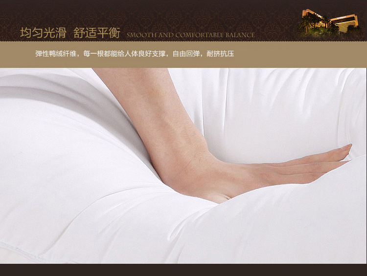 
                                        
                                        睡驰（AiSleep）枕芯 高回弹纤维枕芯 舒睡柔软枕芯 两只装                