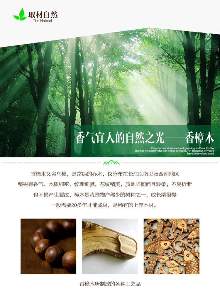 
                                        
                                                            绿之源 25条裝天然香樟木条樟木球块片 家具书桌衣柜防霉防潮蛀虫除味替代樟脑丸卫生球                