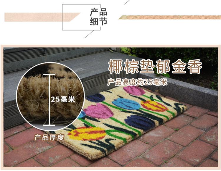 力九和 椰棕除尘垫玄关垫 郁金香彩垫 46*76cm 25mm