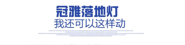 
                                        
                                        冠雅 护眼落地灯 客厅卧室床头落地台灯创意书房钢琴欧式豪华落地灯MT-3027-2 宝石红                