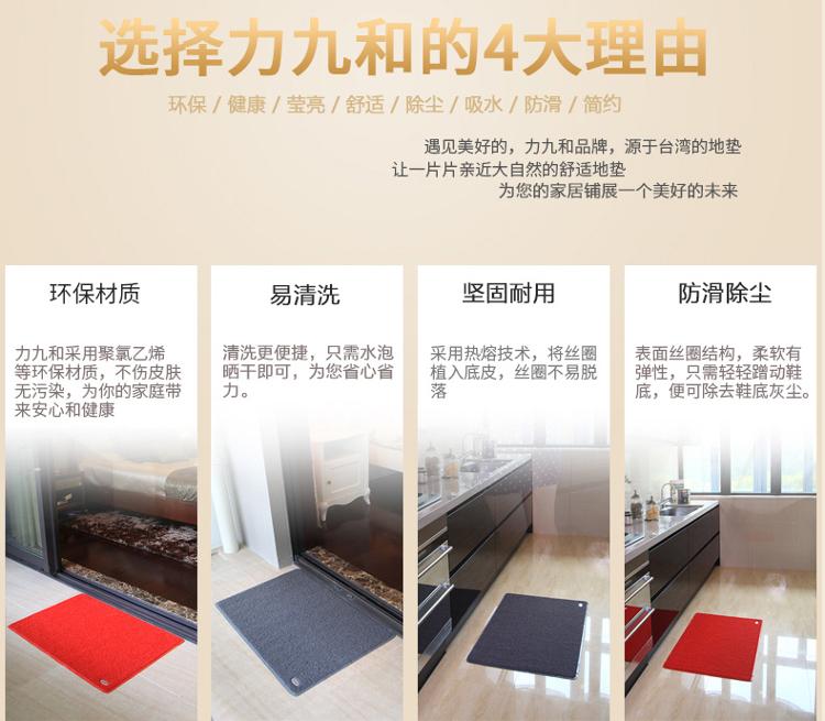 力九和 素面丝圈地垫除尘垫玄关垫 40x60cm灰色