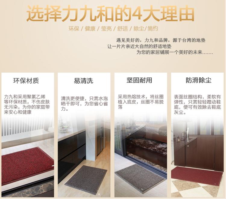 
                                        
                                        力九和 双色舞丝除尘门垫玄关地垫60x90cm深浅褐                