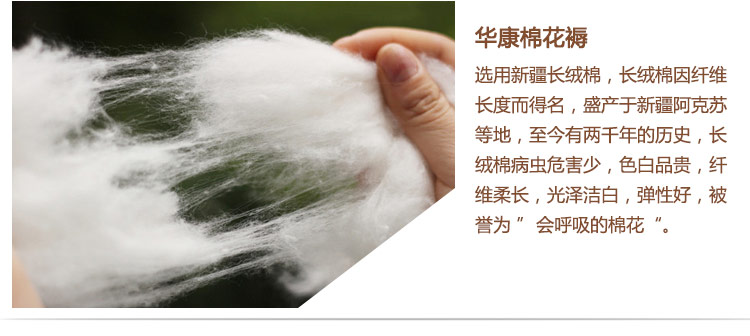 
                                        
                                        华康 棉花床垫褥子 新疆棉花床垫床褥 纯棉宿舍单人棉花床褥子1米床 100×200cm 3斤                