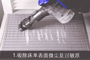 戴森(Dyson) DC62无线无绳手持式家用吸尘器 可除螨