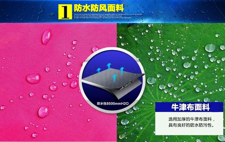 博沃尼克  摩托车电动车雨衣成人单人时尚透明帽檐加大加厚男女雨披 紫色BY-03