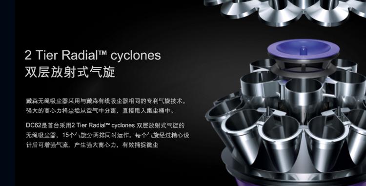 戴森(Dyson) DC62无线无绳手持式家用吸尘器 可除螨
