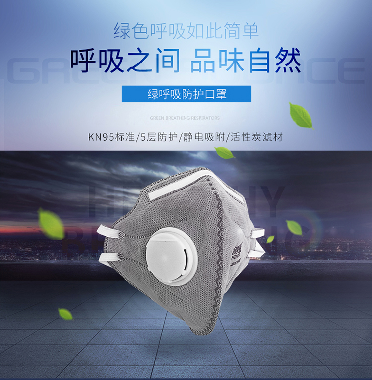 绿之源 绿呼吸N95折叠型口罩防颗粒物呼吸器 有呼气阀 灰色10只/盒