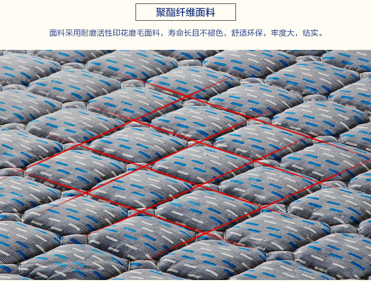
                                        
                                                            百富帝（byford）床垫床褥 床护垫可水洗折叠透气单人四季床褥子 蓝 120*200cm                