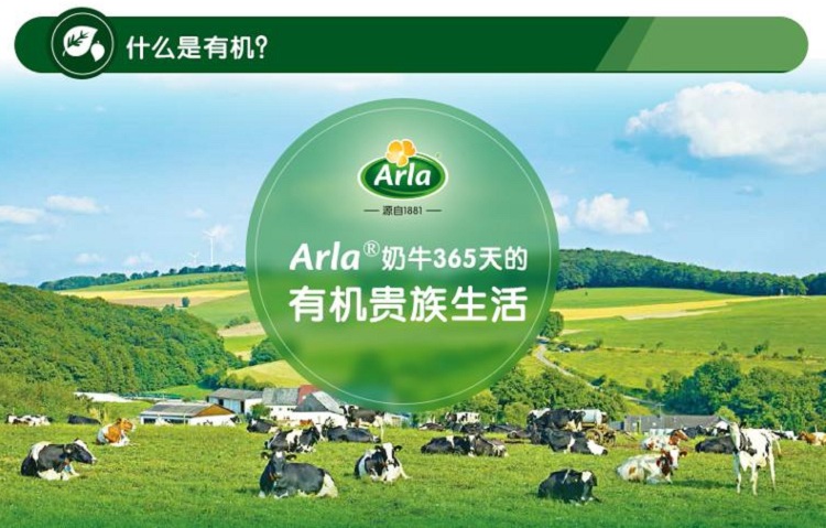 arla 宝贝与我(baby&me)有机配方奶粉2段(6-12个月较大婴儿适用)800g