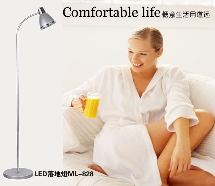
                                        【京东超市】道远亮眼睛酷美系列金属LED落地灯ML828闪银                
