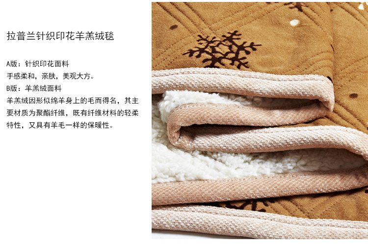 
                                        亿斯达（YISIDA）珊瑚绒毯 亲肤绒毯 羊羔绒毛毯/盖毯 加厚 针织 200*230 雪花                