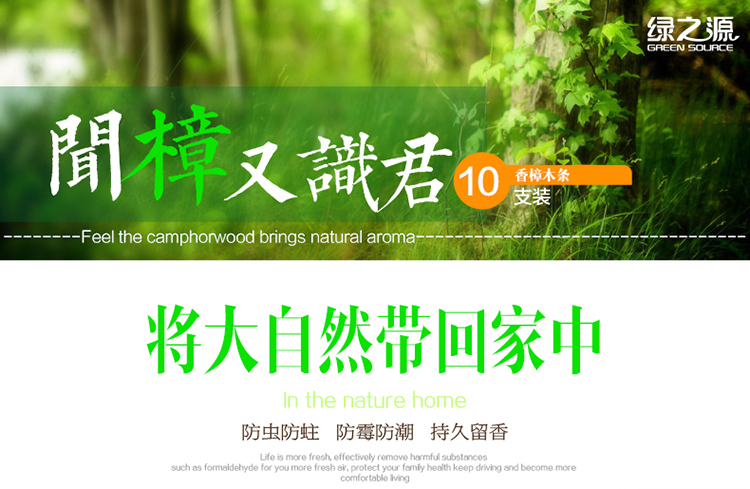 
                                        
                                                            绿之源    10条装天然香樟木条球块 家具书桌衣柜防霉防潮蛀虫除味替代樟脑丸卫生球                