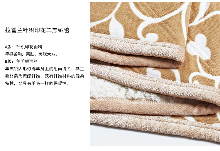 
                                        亿斯达（YISIDA）珊瑚绒毯 亲肤绒毯 羊羔绒毛毯/盖毯 加厚 针织 200*230 藤蔓灰                