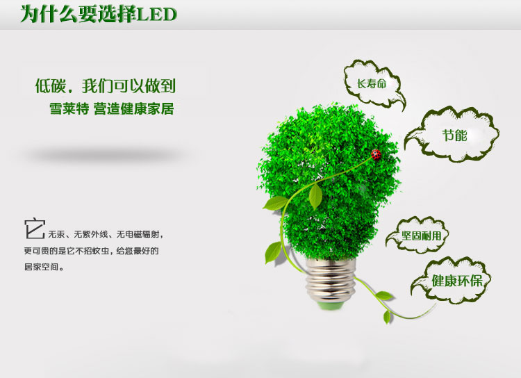 雪莱特 LED球泡E27螺口5W CNQA0502WW黄光  2支装