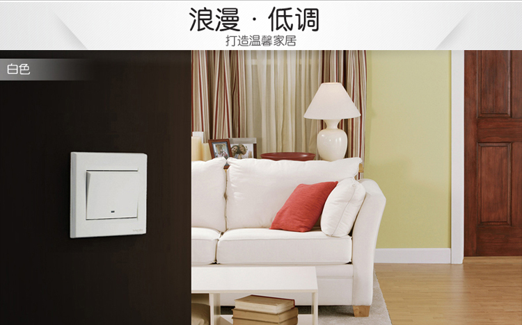 施耐德（Schneider）开关 一开单开单控开关 白色 如意系列 EV51/1