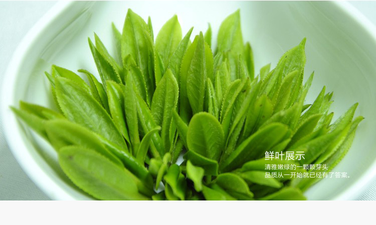 产品信息product information 名称:中狮牌西湖龙井 配料:龙井茶鲜叶