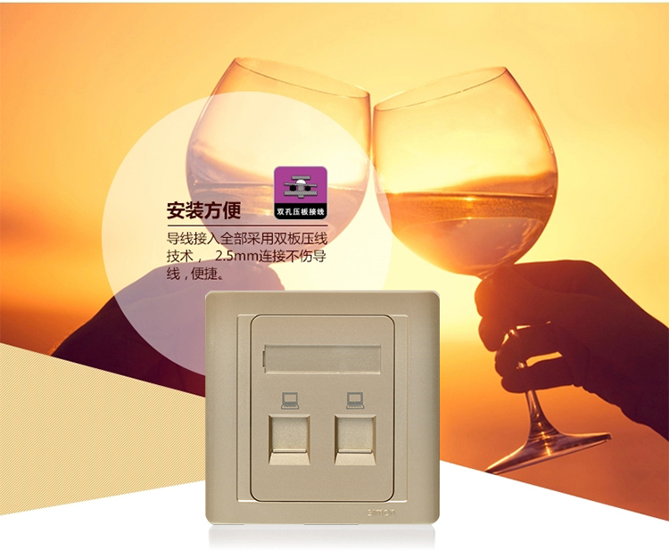 西蒙 (SIMON) 开关插座面板香槟金色 二位电脑/网线插座55系列N55228S-56