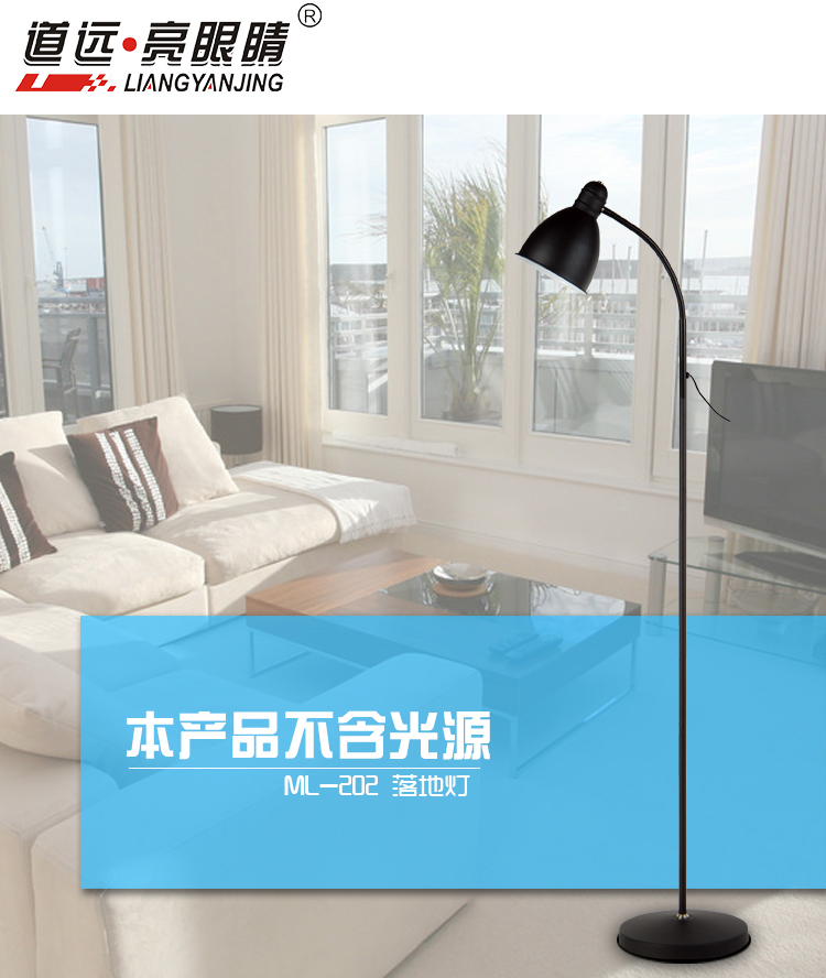
                                        
                                        道远亮眼睛金属落地灯ML202黑色                