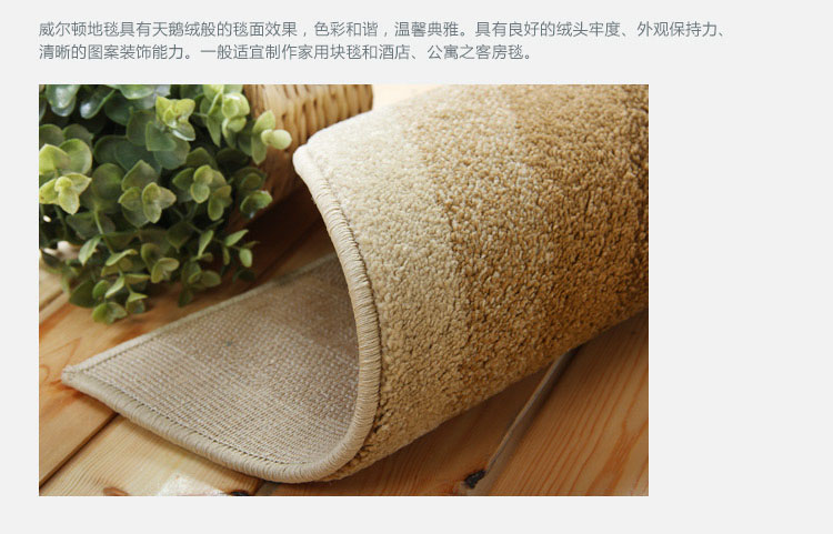 富居（FOOJO）威尔顿机织地毯地垫 卧室书房客厅玄关半圆门垫脚垫 50*80cm 吉祥妙境