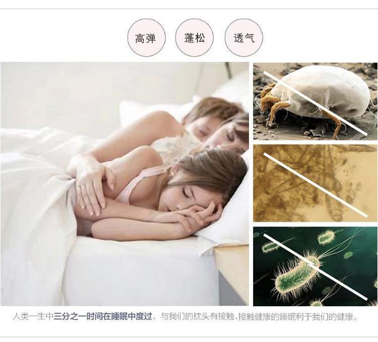
                                        胜伟 枕芯家纺 全棉羽丝绒枕 双人情侣枕头 一对装 48*74cm                