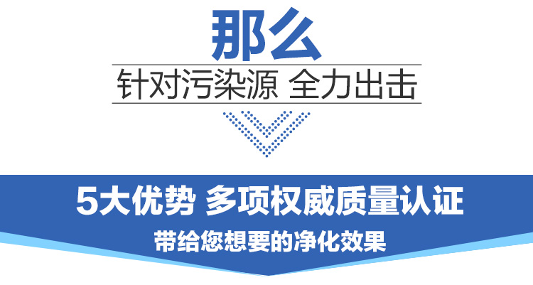 
                                        
                                                            锐巢 净化王除甲醛活性炭包金装一居室2000g 新房装修去甲醛清除剂家用竹炭包汽车净化除味碳包                