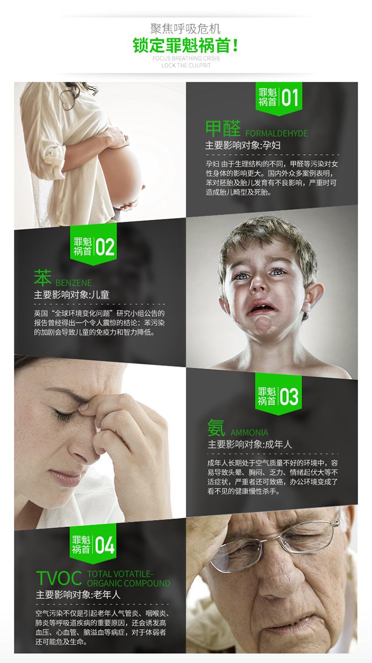 【京东超市】绿之源 车用高效活性炭 装修除甲醛活性炭汽车除味去甲醛清除剂净化除味炭包