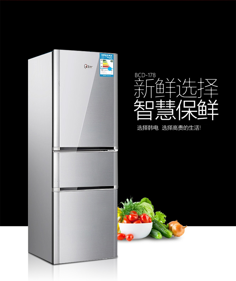 韩电对开门冰箱_keg韩电冰箱怎么样_韩电多门冰箱