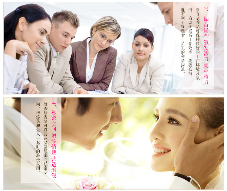 
                                        【京东超市】绿之源  凝香居环境卫生香（一盒装）                