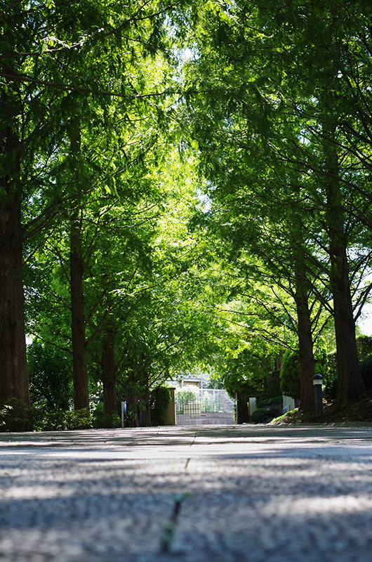 宾得（PENTAX）DA 35mm F2.4 定焦镜头SP镀膜 自然视角黑色