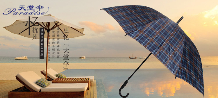 
                                        天堂伞 加大加固格子自开直杆商务晴雨伞 蓝格 170E                