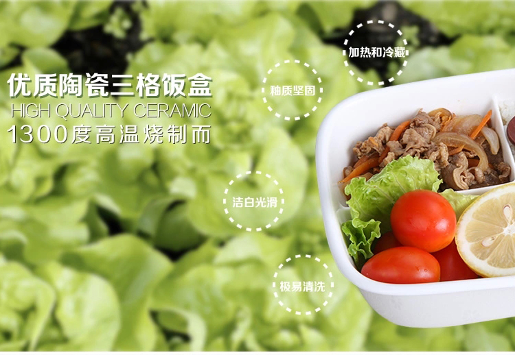 真泰尔 陶瓷饭盒 微波炉饭盒套装 学生饭盒分格便当盒 冰箱保鲜盒900ML