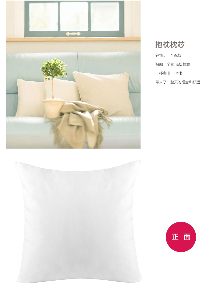 Homix 太空棉抱枕专用枕芯45*45cm