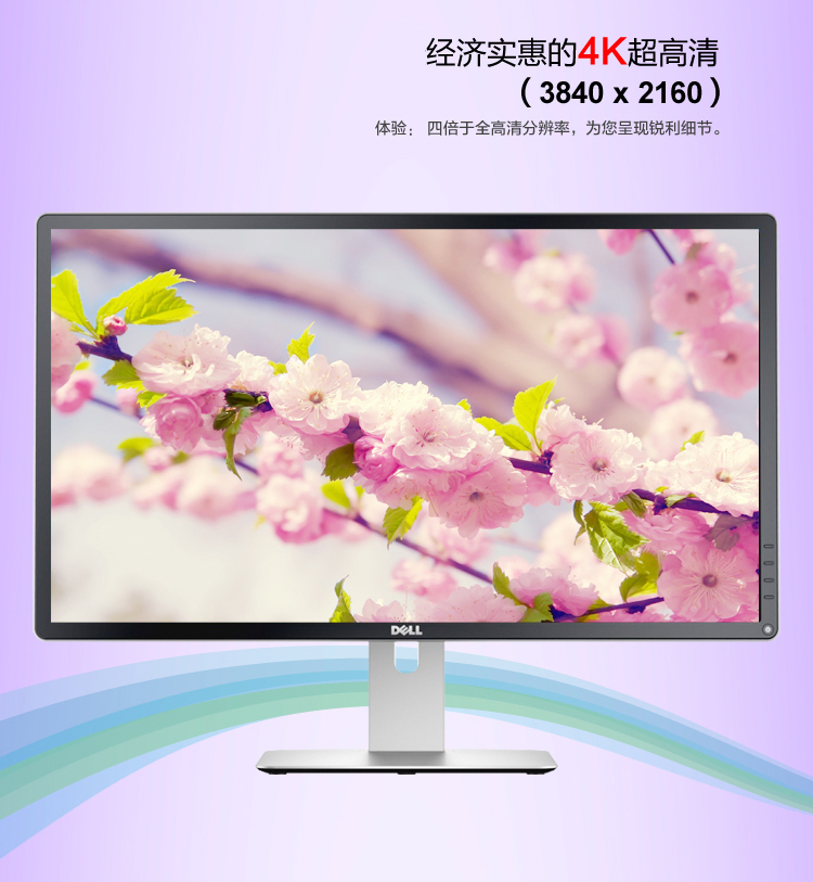 戴尔（DELL） 专业级P2815Q 28英寸16:9宽屏 LED背光4K液晶显示器