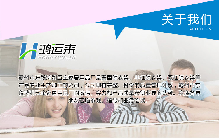 鸿运来 不锈钢底座可升降单杆晾晒衣被架 更稳固 D3