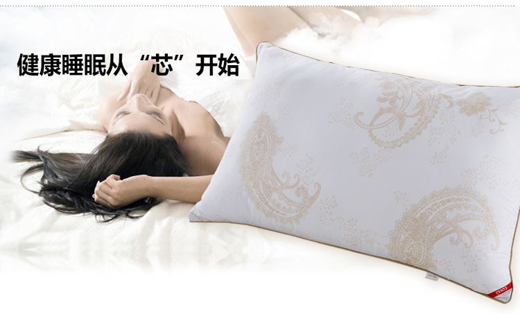 
                                        蔻姿（COZZY）床品家纺 安娜舒眠枕（只） 黄色                